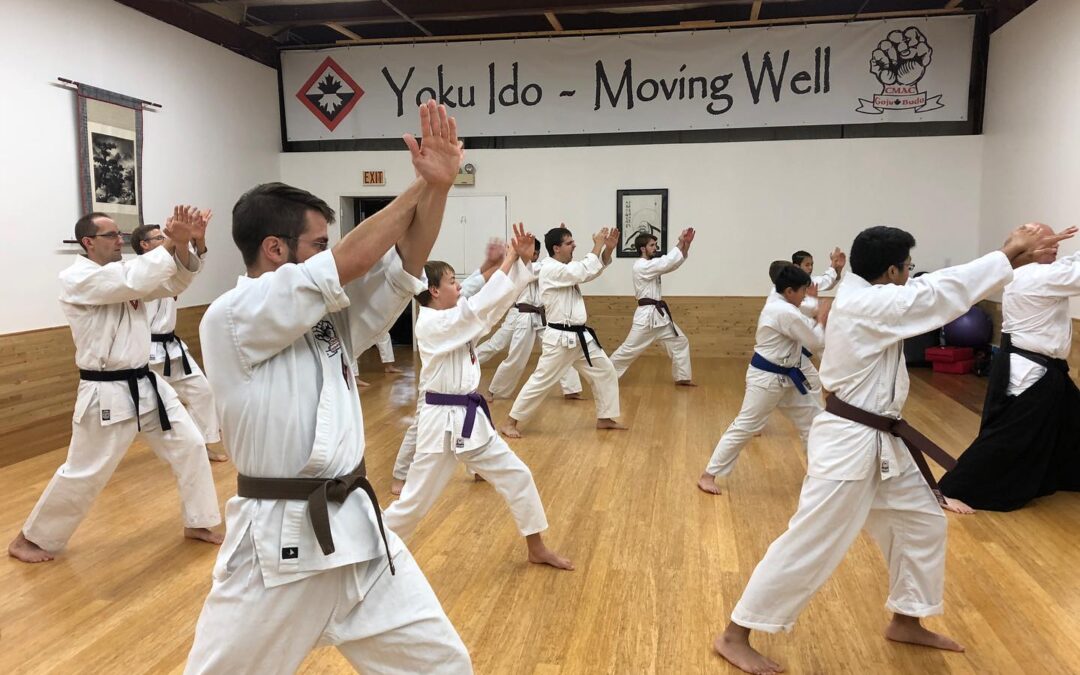 Nurturing Character and Community through Classical Martial Arts